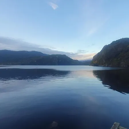 Daire Fotlandsvag Guest *